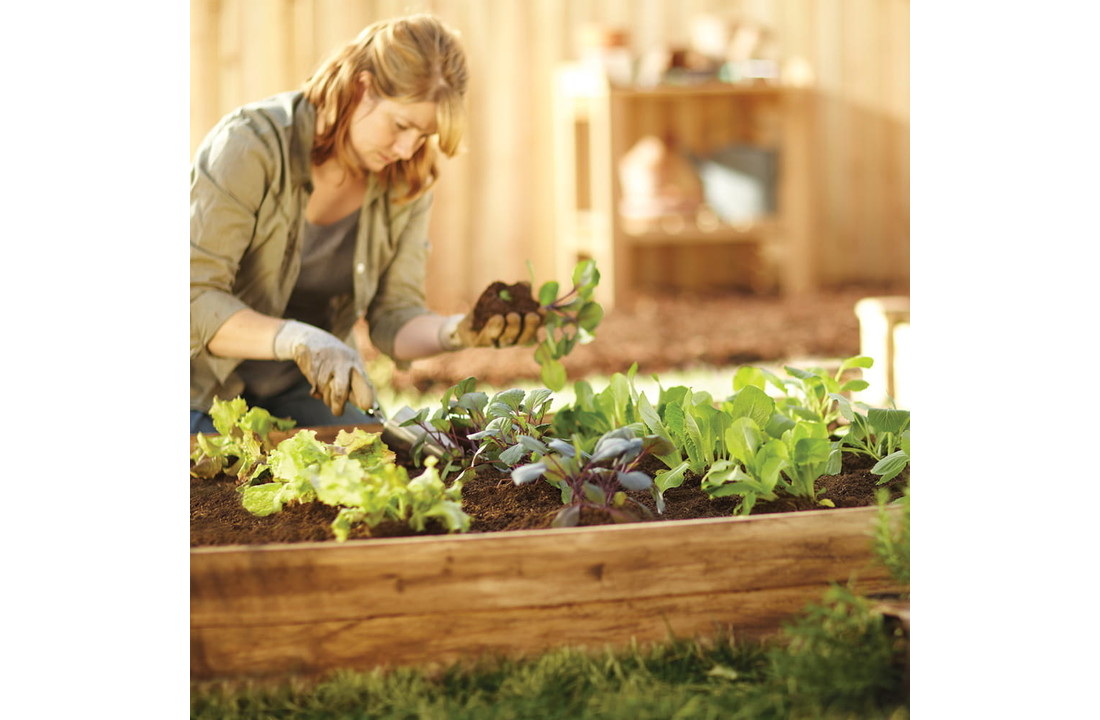 Moestuinbak 200x150x18cm - naaldhout - 3 groentezaden - gratis