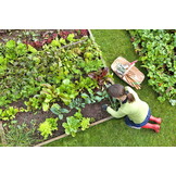 Moestuinbak 200x150x18cm - naaldhout - 3 groentezaden - gratis