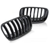 Grille voor geschikt voor Bmw x5 e70/x6 e71 - zwart glans - 2008-