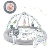 Speelkleed baby - babygym  - speelmat - 98x78 cm - dinosaurus