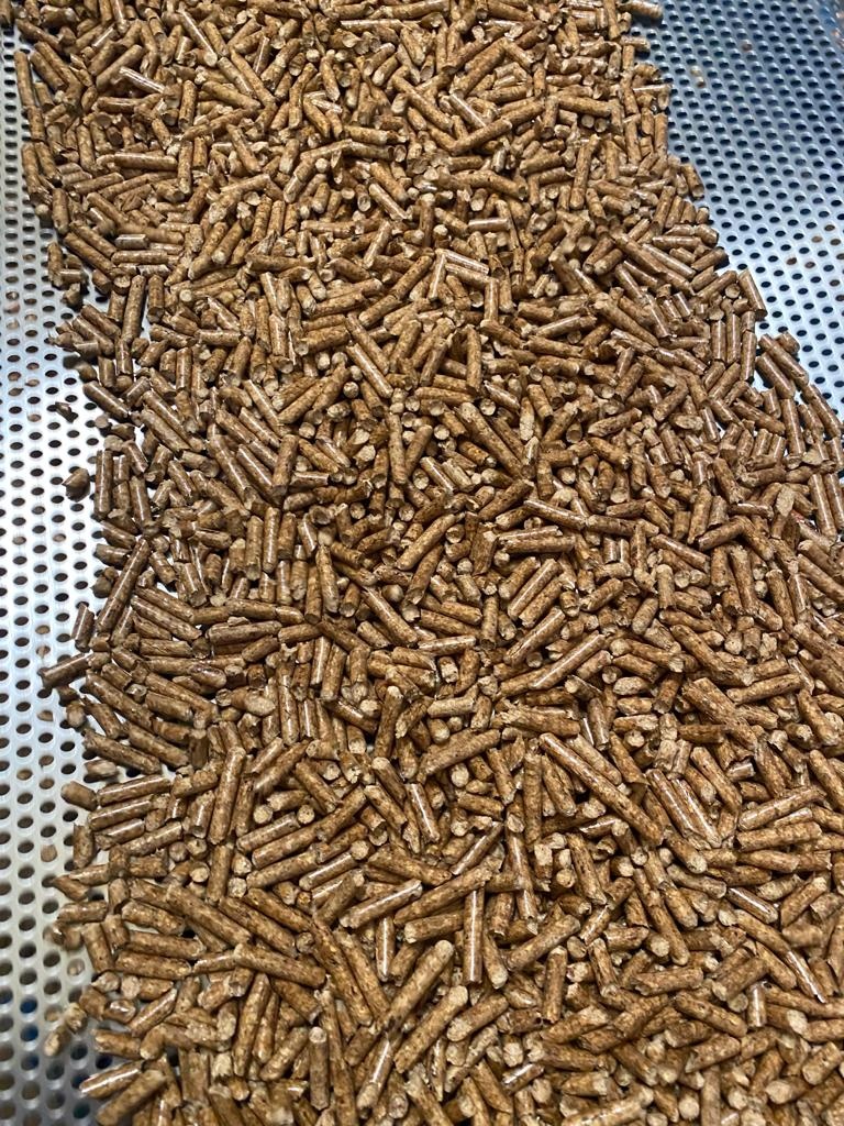 Houtpellets - 15,5kg - beuken & dennen - bio pelletkorrels