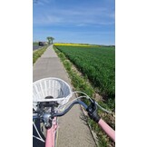 Meisjesfiets - 26 inch - met 7 versnellingen - roze crème