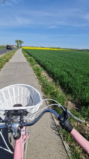 Meisjesfiets - 26 inch - met 7 versnellingen - roze crème