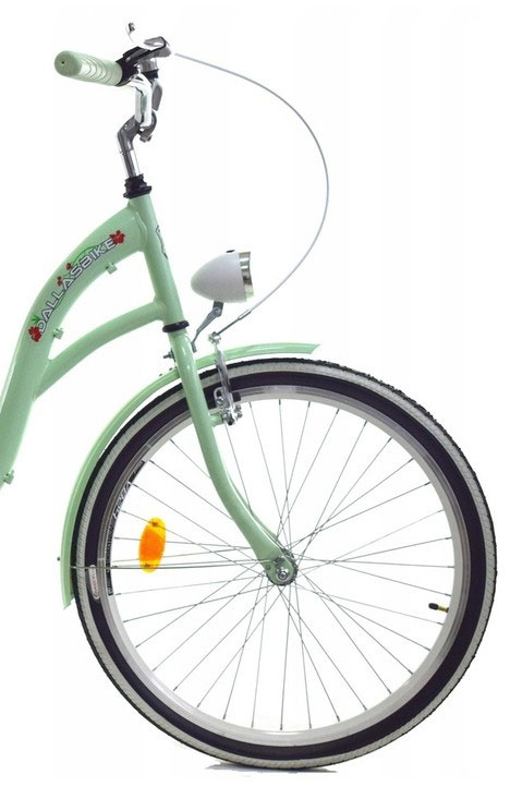 Meisjesfiets 24 inch stevig model in mint van Dallas Bike