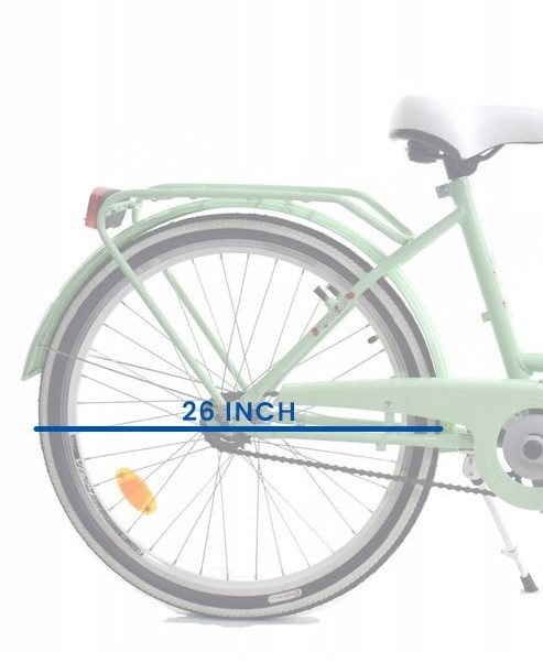 Meisjesfiets 26 inch stevig model mintgroen van Dallas Bike