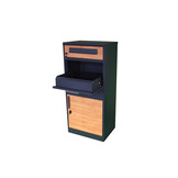 Pakketbrievenbus - 50x38x112 cm - staal - antraciet houtlook