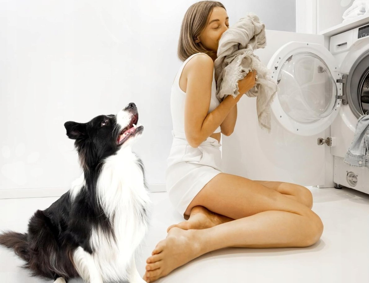 Hondenkussen - 80x60x7 cm - lichtgrijs - hondenbed