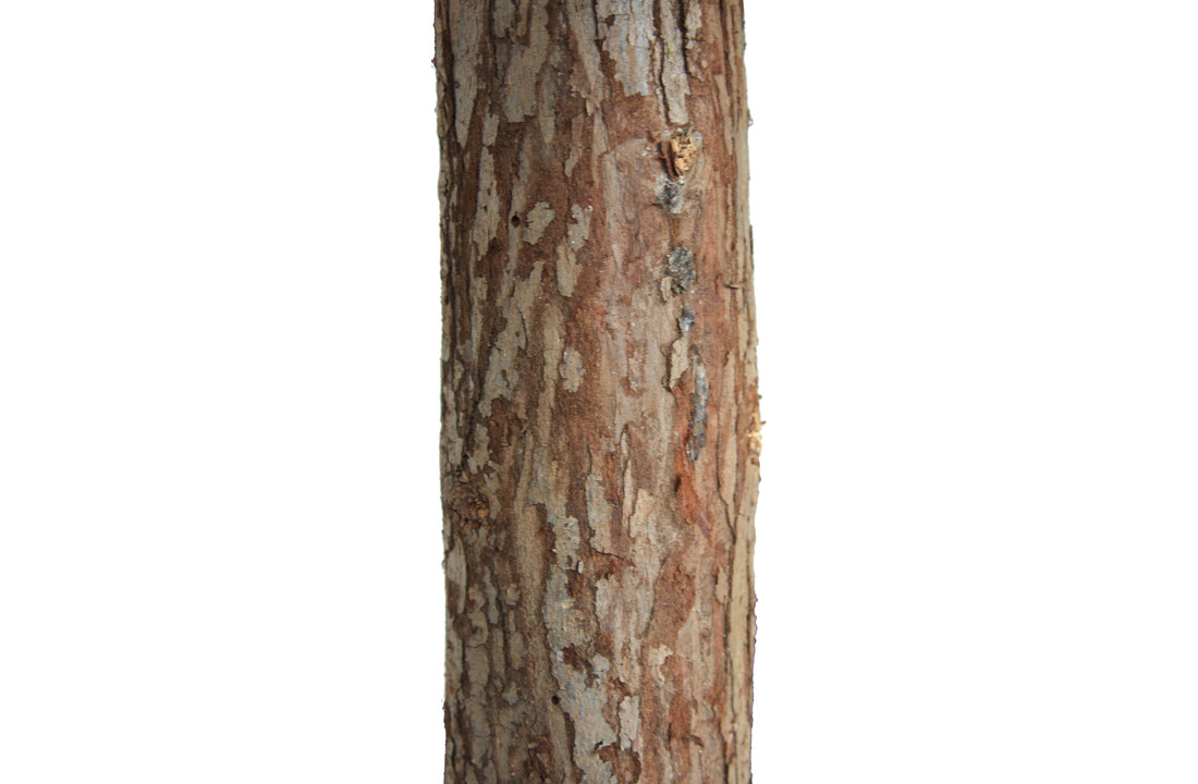 Kunstkerstboom 180 cm – sneeuw – rode kerstballen – houten stam