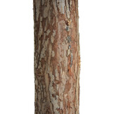 Kunstkerstboom 180 cm – sneeuw – rode kerstballen – houten stam