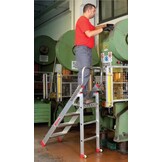Faraone magazijnladder 3 treden CM50.03 - 2,47m