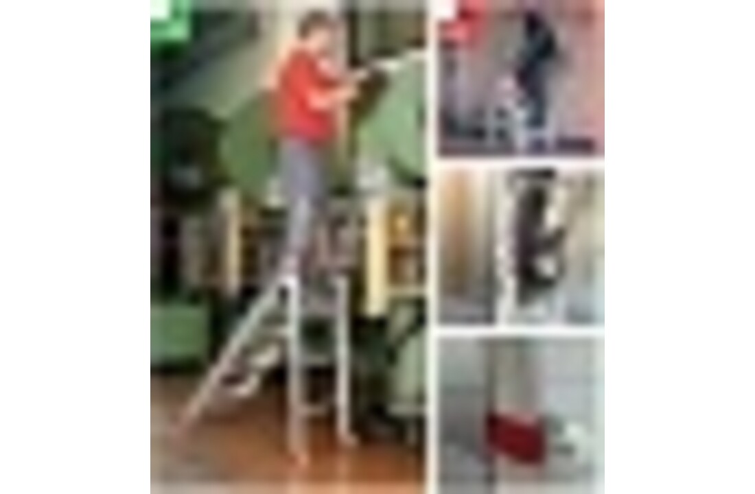 Faraone magazijnladder 3 treden CM50.03 - 2,47m