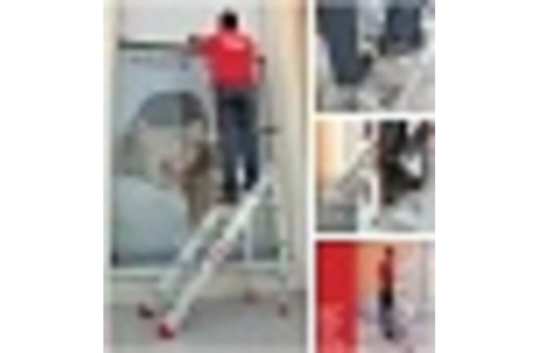 Faraone magazijnladder 3 treden CM50.03 - 2,47m