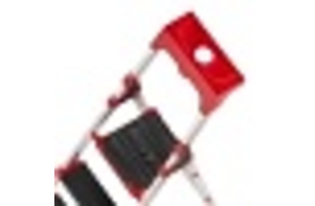 HIGHER ALU 6 Professionele Aluminium Ladder - 5 treden + platform