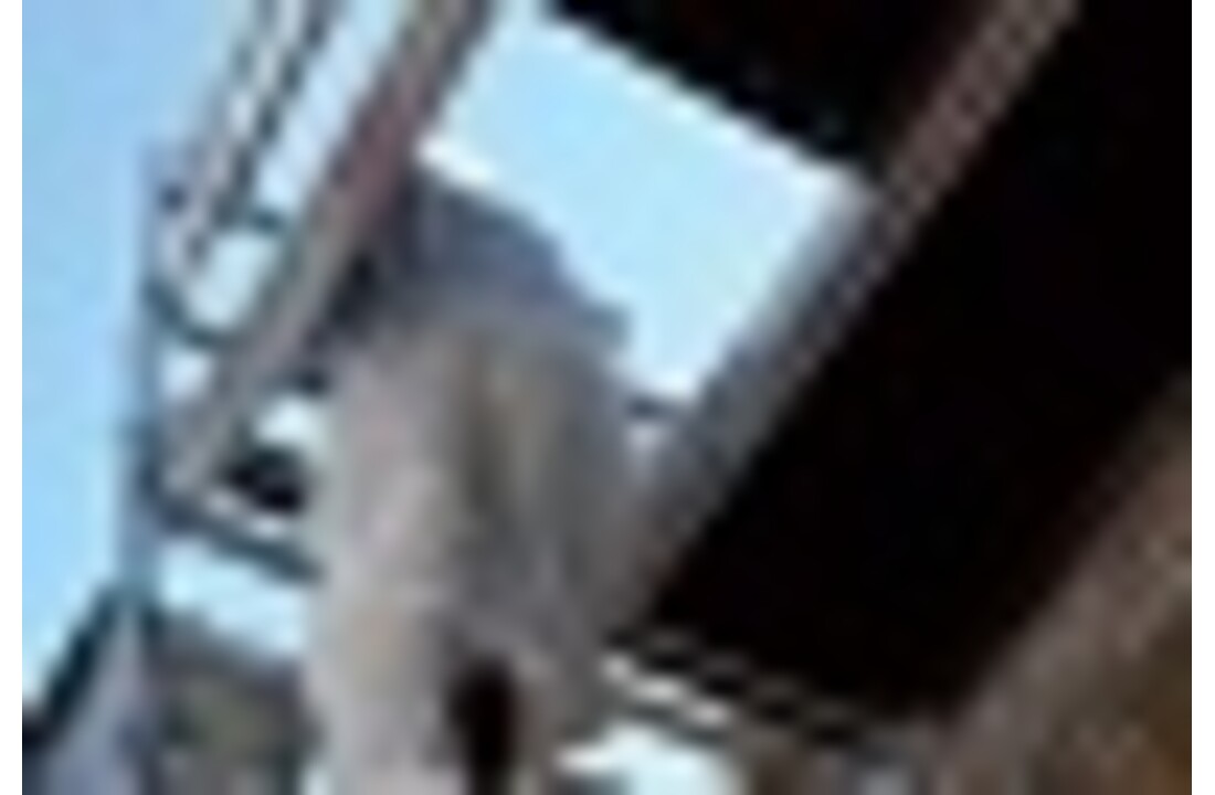 Faraone Compact mobiele aluminium steiger - 7,60 m