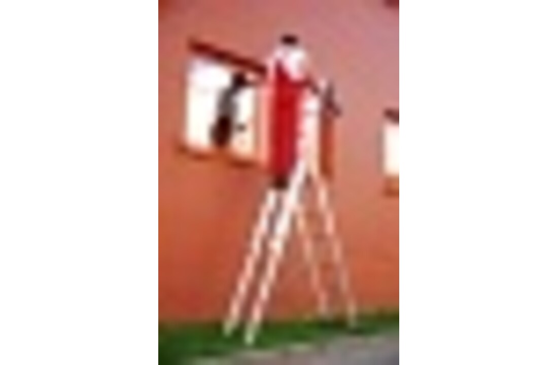 ALOSS Universele Aluminium Ladder 3x7 - 5,30 m