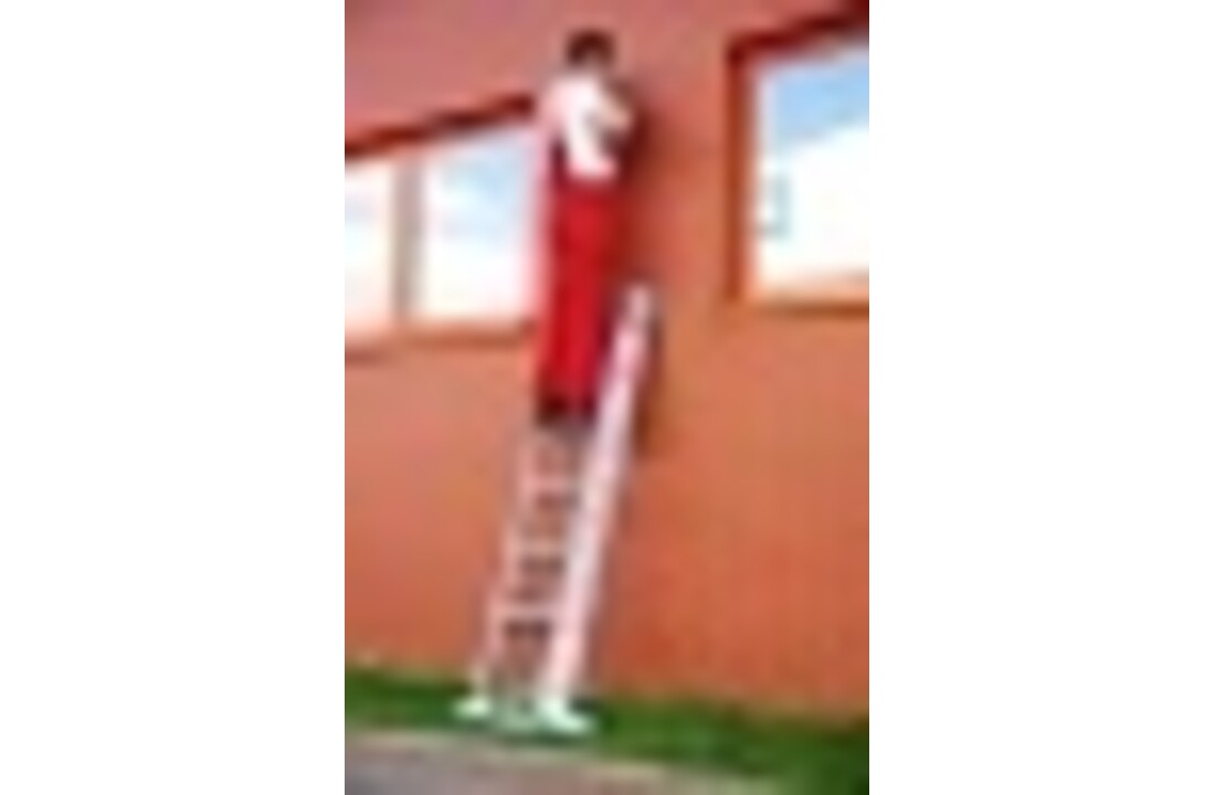 Uitschuifbare ladder - multifunctioneel - werkhoogte 5,3 m