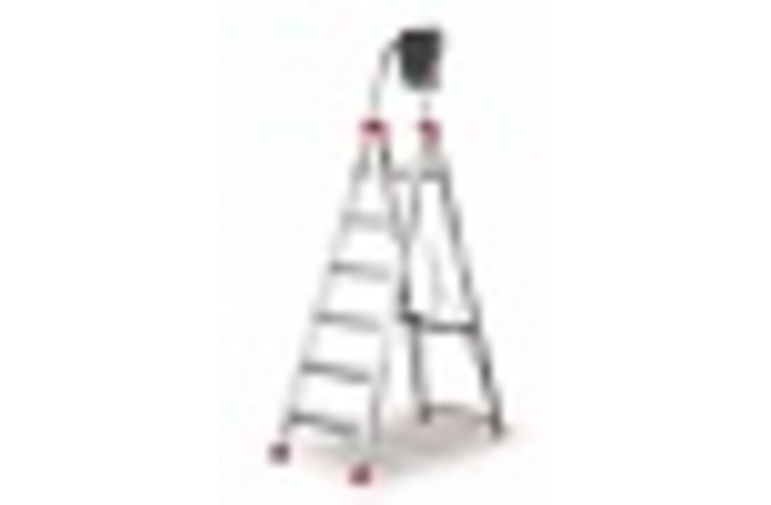 Faraone Domus Professionele Ladder 10 Treden