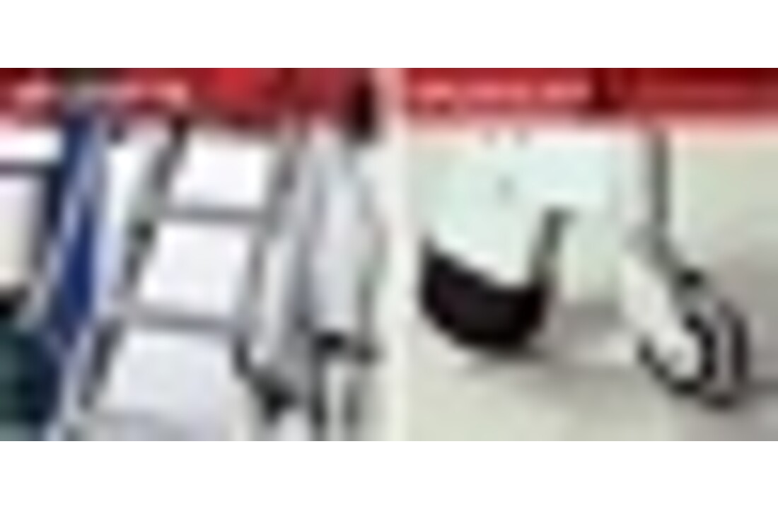 Faraone LADY magazijnladder 9 treden - 3,80m werkhoogte