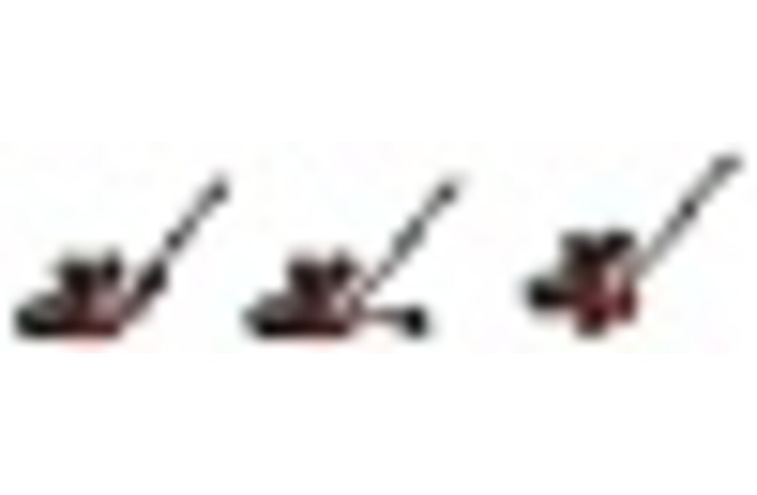 BAUMR-AG Trilplaat 90kg met Briggs & Stratton motor + GRATIS ACCESSOIRES