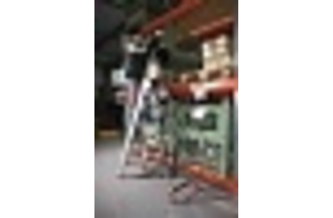 Faraone Domus Professionele Ladder 8 Treden