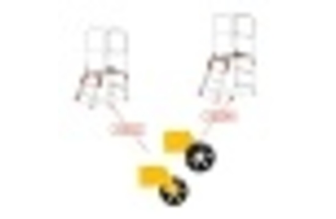 ALOSS®️ Wielen (2 stuks) voor Magazijnladders (Serie 95xx)