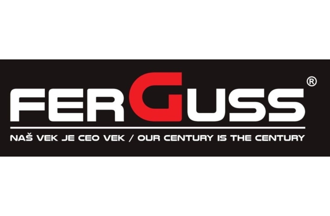 FERGUSS FGS LUX 18 Inzetkachel - 11,9 kW - EkoProjekt 2022