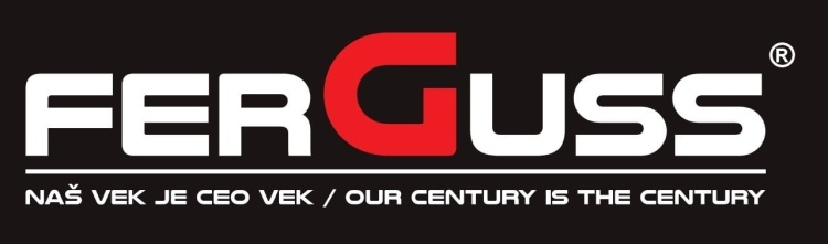 FERGUSS FGS LUX 18 Inzetkachel - 11,9 kW - EkoProjekt 2022