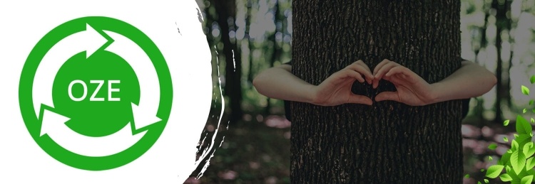 Kachel TEMY ES 25 kW Wit - 5e Klasse, 2-in-1 Ketel & Houtkachel