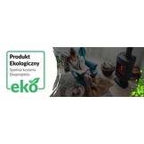 Houtkachel Temy ES 10 kW Zwart - 2-in-1 CV en Houtkachel