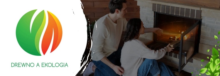 Houtkachel Temy ES 10 kW Zwart - 2-in-1 CV en Houtkachel