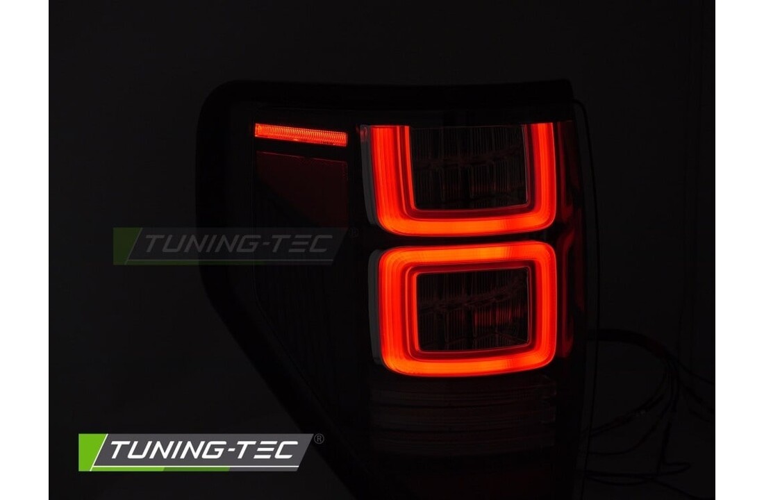 Achterlichten LED Dynamisch geschikt voor Ford F150 MK12 2008-2014