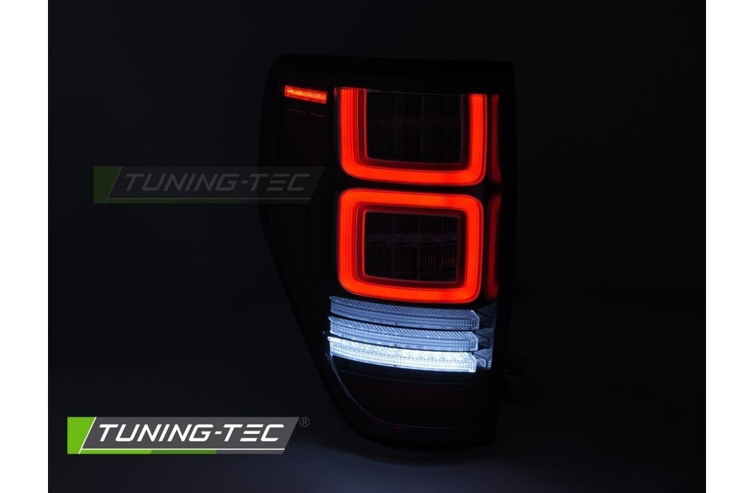 Achterlichten LED Dynamisch geschikt voor Ford F150 MK12 2008-2014