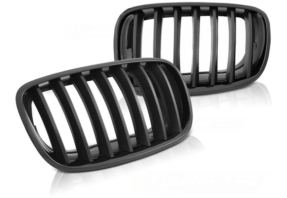 Grill geschikt voor BMW X5 E70/X6 E71 08- glanzend zwart