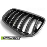 Grill geschikt voor BMW X5 E53 04-06 mat zwart