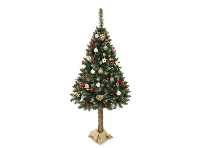 Kerstboom met stam 220 cm groen met rijp modulair