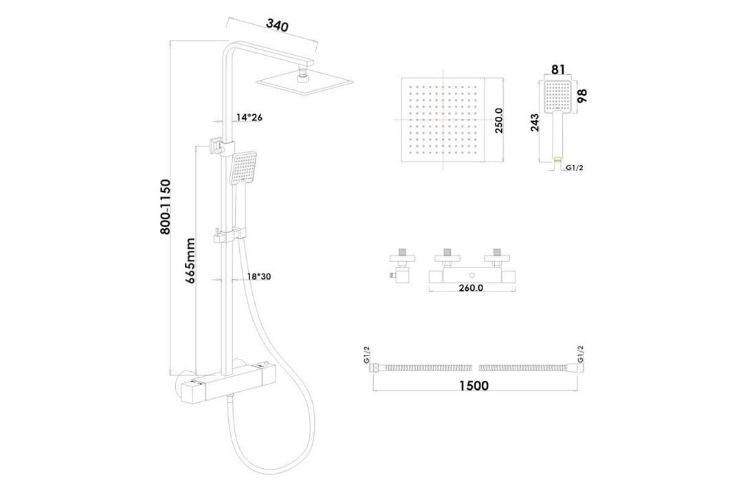 Douchepaneel thermostaatkraan met Regendouche 25cm Chroom RVS