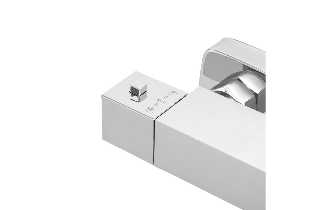 Douchepaneel thermostaatkraan met Regendouche 25cm Chroom RVS