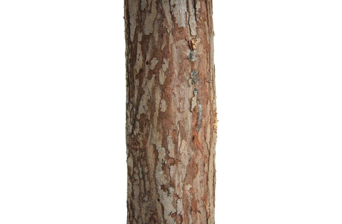 Kunstboom groen rood versierd - 180cm, Grenenhout, PVC