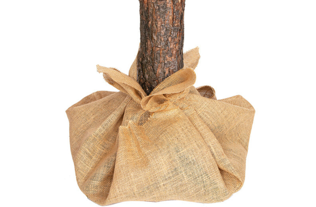 Kerstboom met houten stam 220 cm groen PVC/grenen