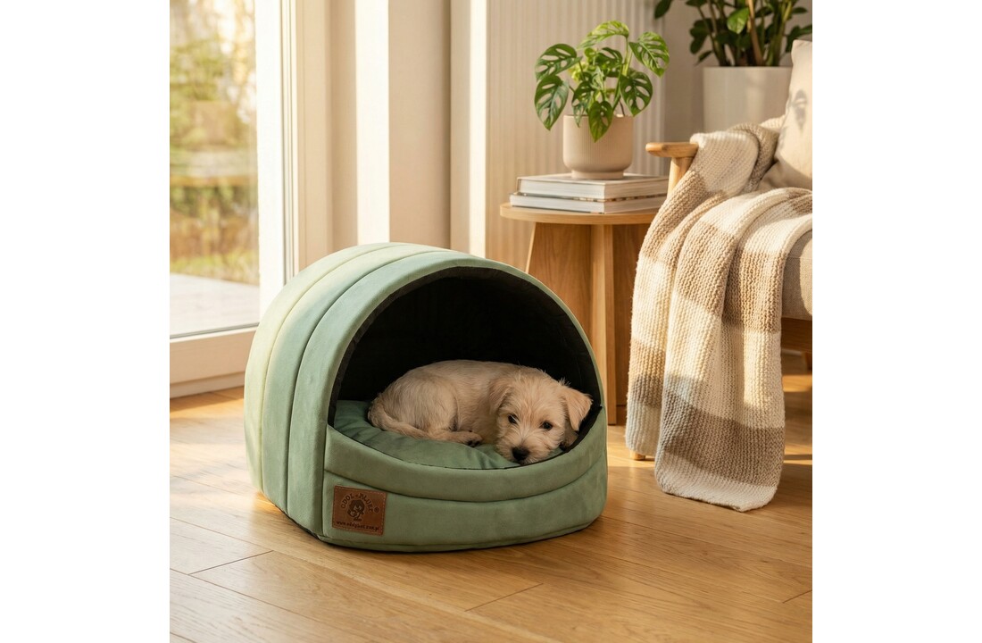 Hondenmand - kleine hond - box - hondemand - 45 x 49 x 36 cm - mat groen - hondenbed - hondebed