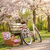 Vouwfiets - 28 inch - met 3 versnellingen - alu - crème bruin