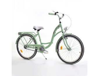 Meisjesfiets 24 inch stevig model in mint van Dallas Bike