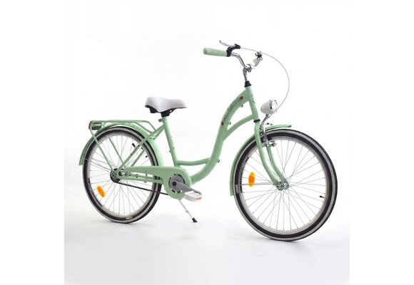 Meisjesfiets 24 inch stevig model in mint van Dallas Bike