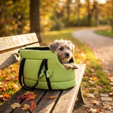 Hondendraagtas - kleine honden - honden transporttas - groen - 36x19x23 cm - stijlvol - schoudertas