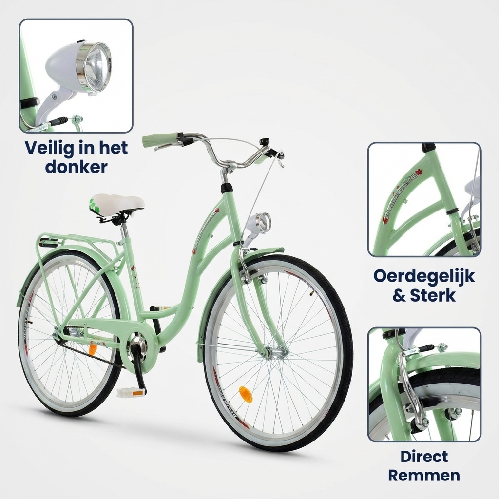 Meisjesfiets 26 inch stevig model mintgroen van Dallas Bike