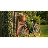 Meisjesfiets 26 inch stevig model rood met zwart van Dallas Bike