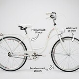 Meisjesfiets 26 inch stevig model wit van Dallas Bike