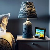 METEO Weerstation SP202 - Met barometer en draadloze buitensensor