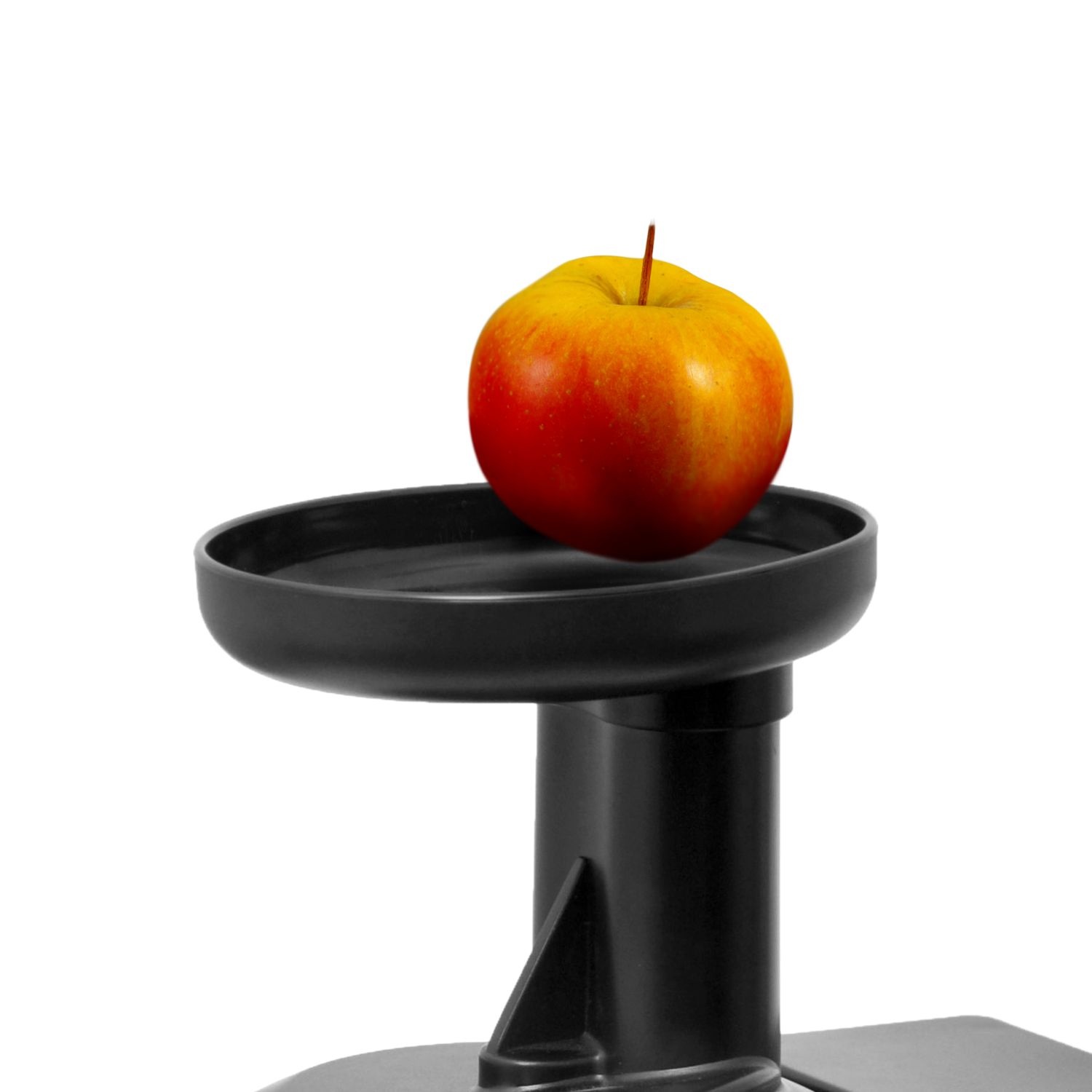 ELDOM Slowjuicer PJ400 - Krachtige AC motor voor koudgeperst sap