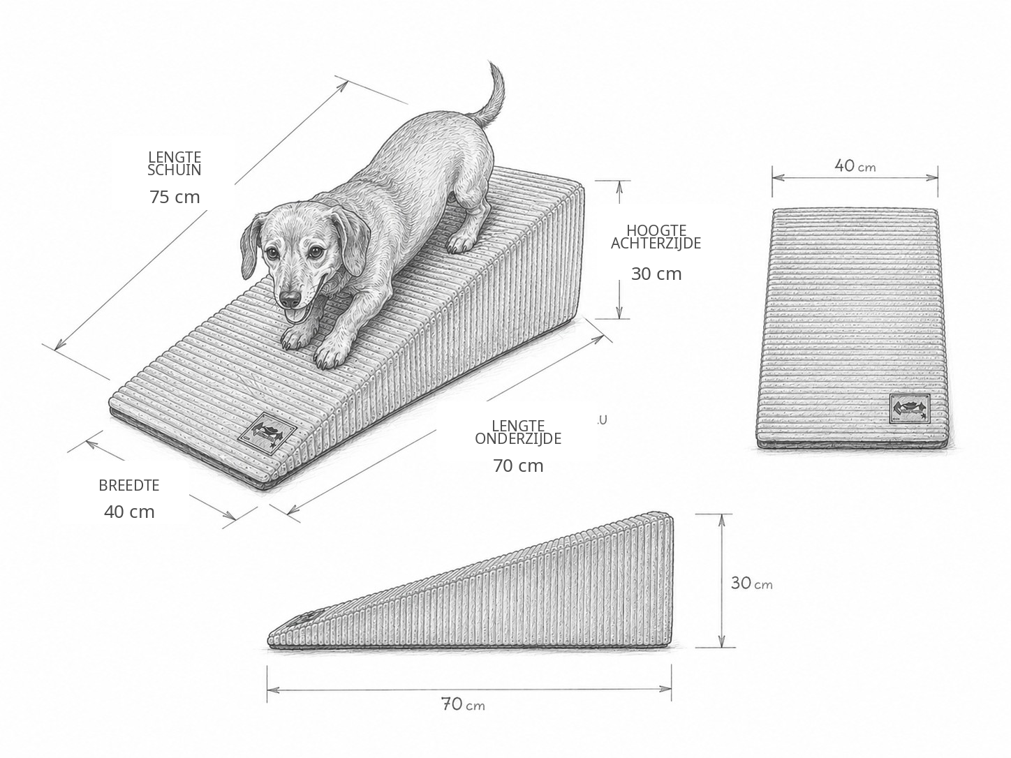 Hondentrap zacht - voor kleine honden - 70x40x30 cm - beige